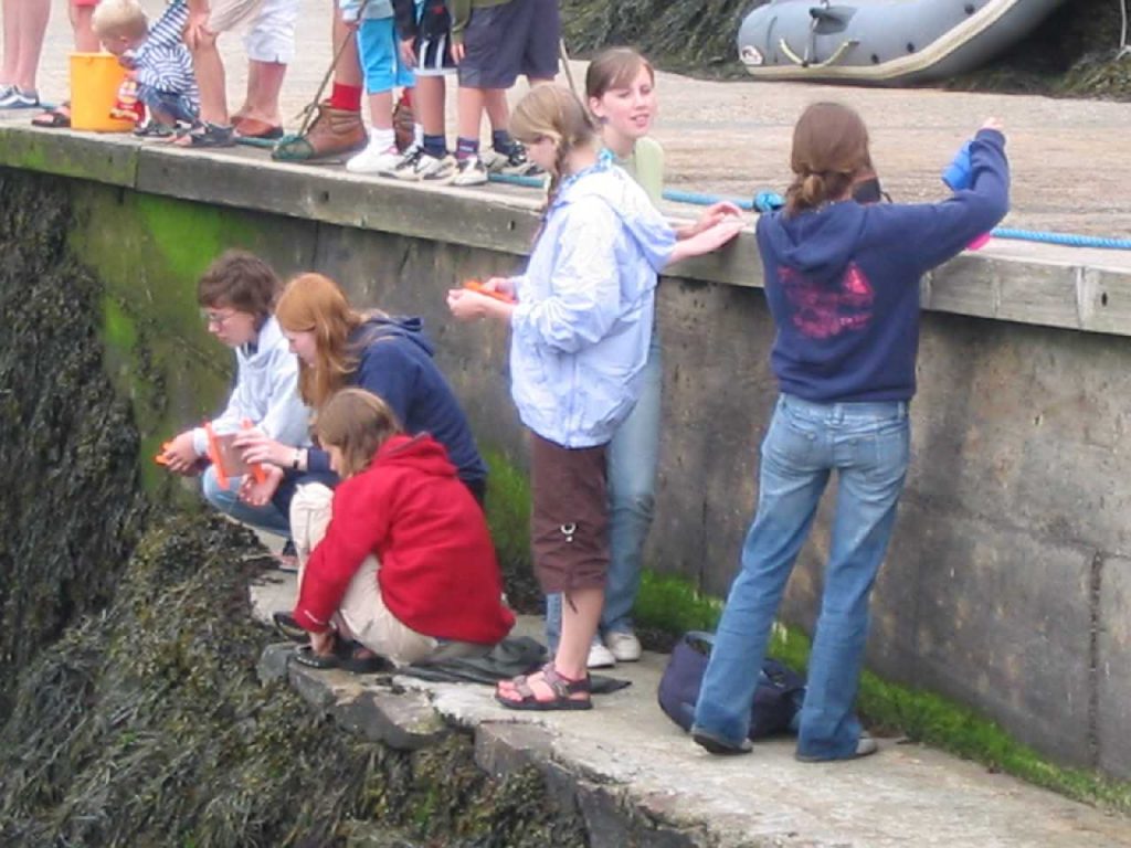 Go Crabbing
